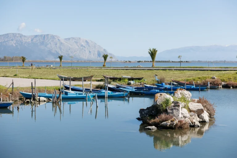 ELYSIAN BOUTIQUE SUITES GAITES