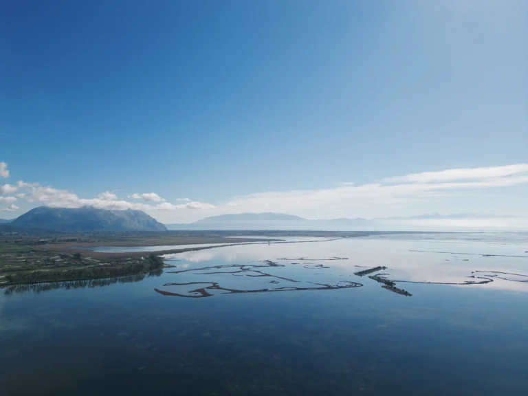 ELYSIAN BOUTIQUE SUITES LIMNOTHALASSA