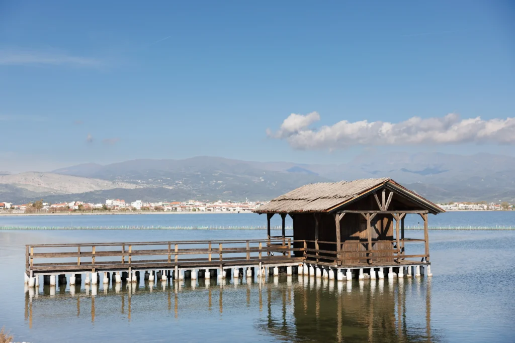 ELYSIAN BOUTIQUE SUITES PELADA